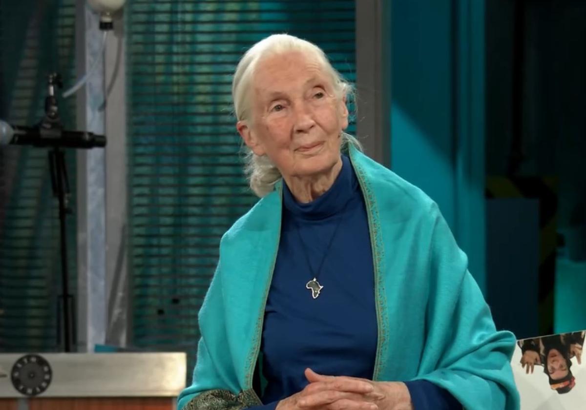 Broncano sorprende en 'La Revuelta' con Jane Goodall, la primatóloga más importante del mundo