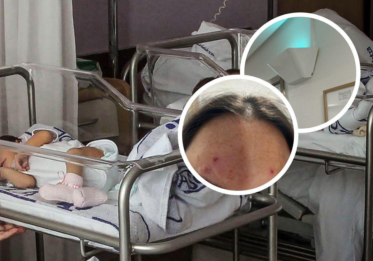 «Los mosquitos nos están acribillando en la zona de pediatría de Txagorritxu»
