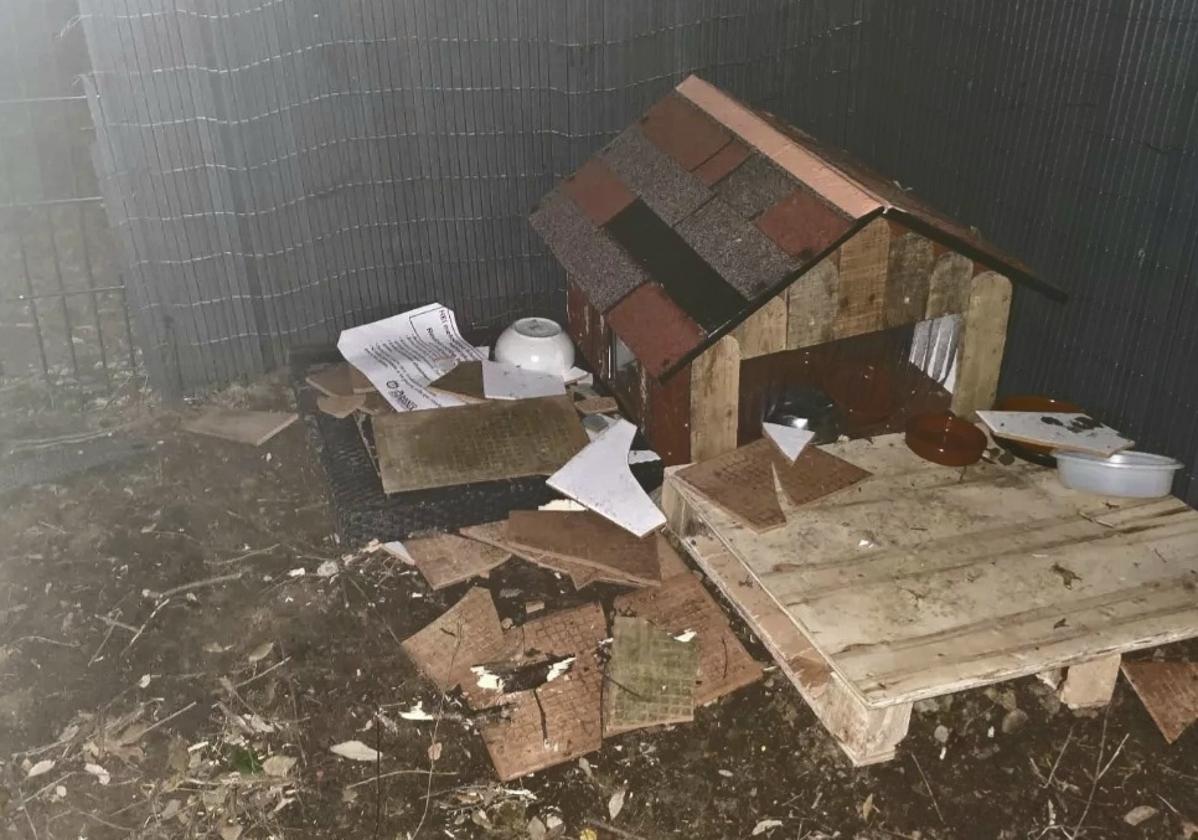 Denuncian destrozos en una colonia felina de Abanto