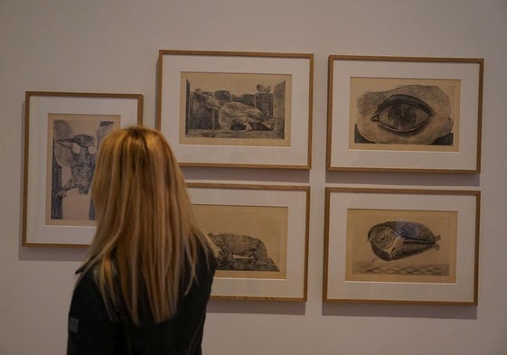 Grupo de piezas incorporadas a la exposición de Ernst.