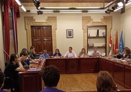 Pleno del Ayuntamiento de Ermua.