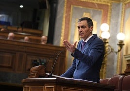 El presidente del Gobierno, Pedro Sánchez.