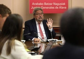 Manu Lezertua en una comparecencia en las Juntas Generales de Álava.