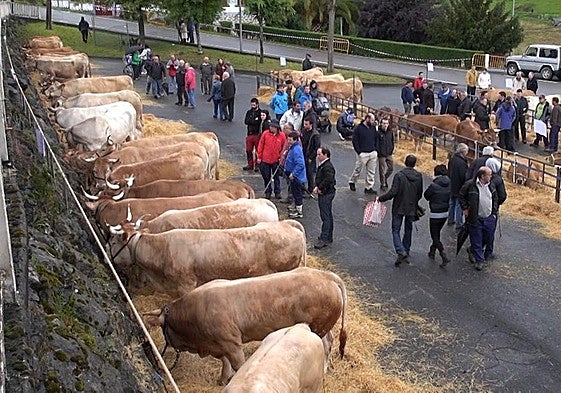 Vista de la feria de ganado de Zeanuri.