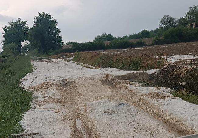 El agua anegó caminos rurales.