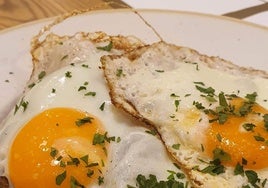 El restaurante vizcaíno que lo tiene todo: una carta con label, menús variados, pintxos y picoteo