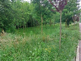 Zona verde de la calle Maspe en Iurreta.