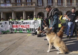 La concentración canina de este viernes en la plaza de España.
