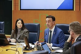 El vicelehenkari y consejero de Empleo y Economía, Mikel Torres