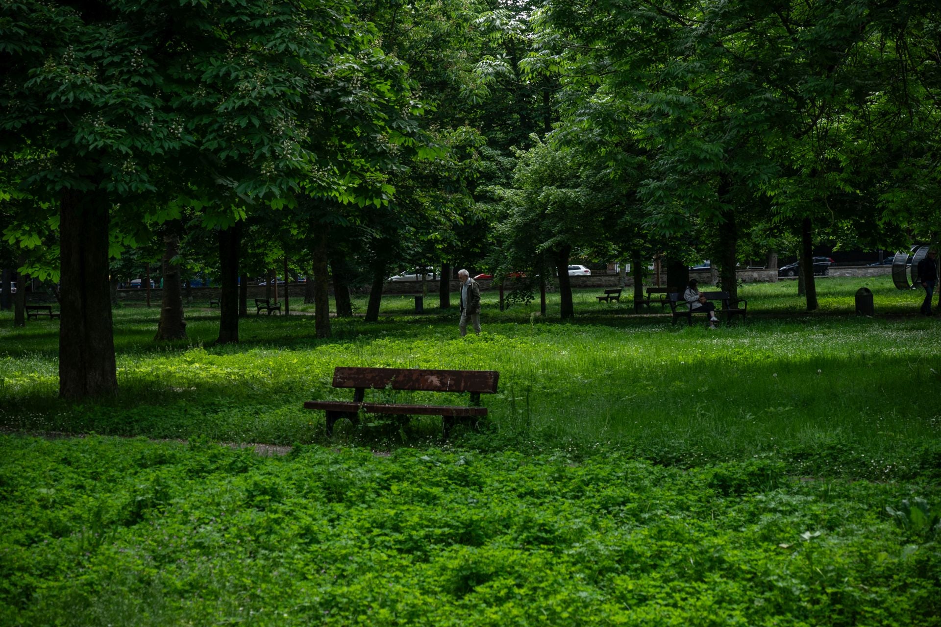 El aspecto asilvestrado de los jardines de Vitoria