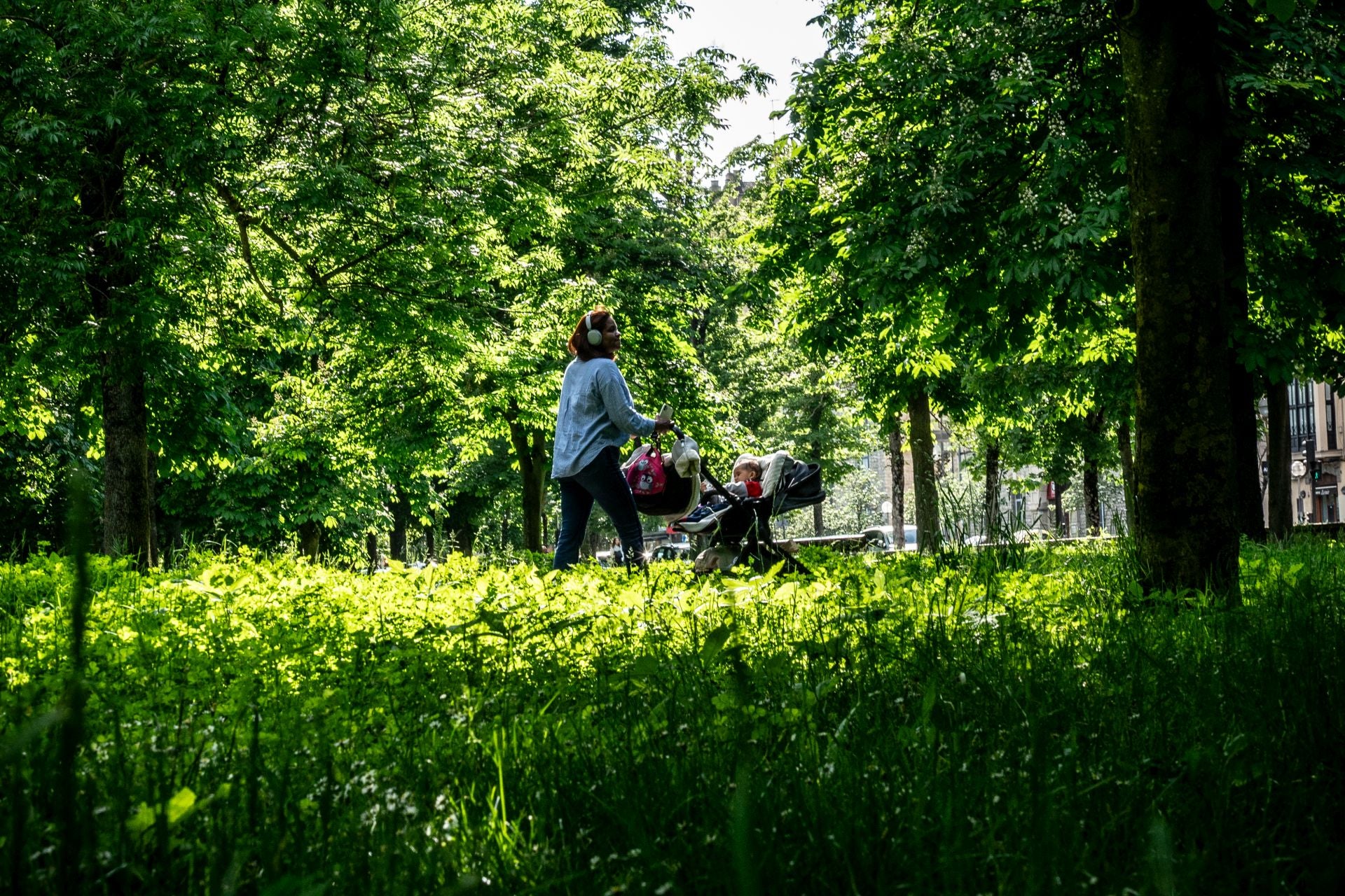 El aspecto asilvestrado de los jardines de Vitoria