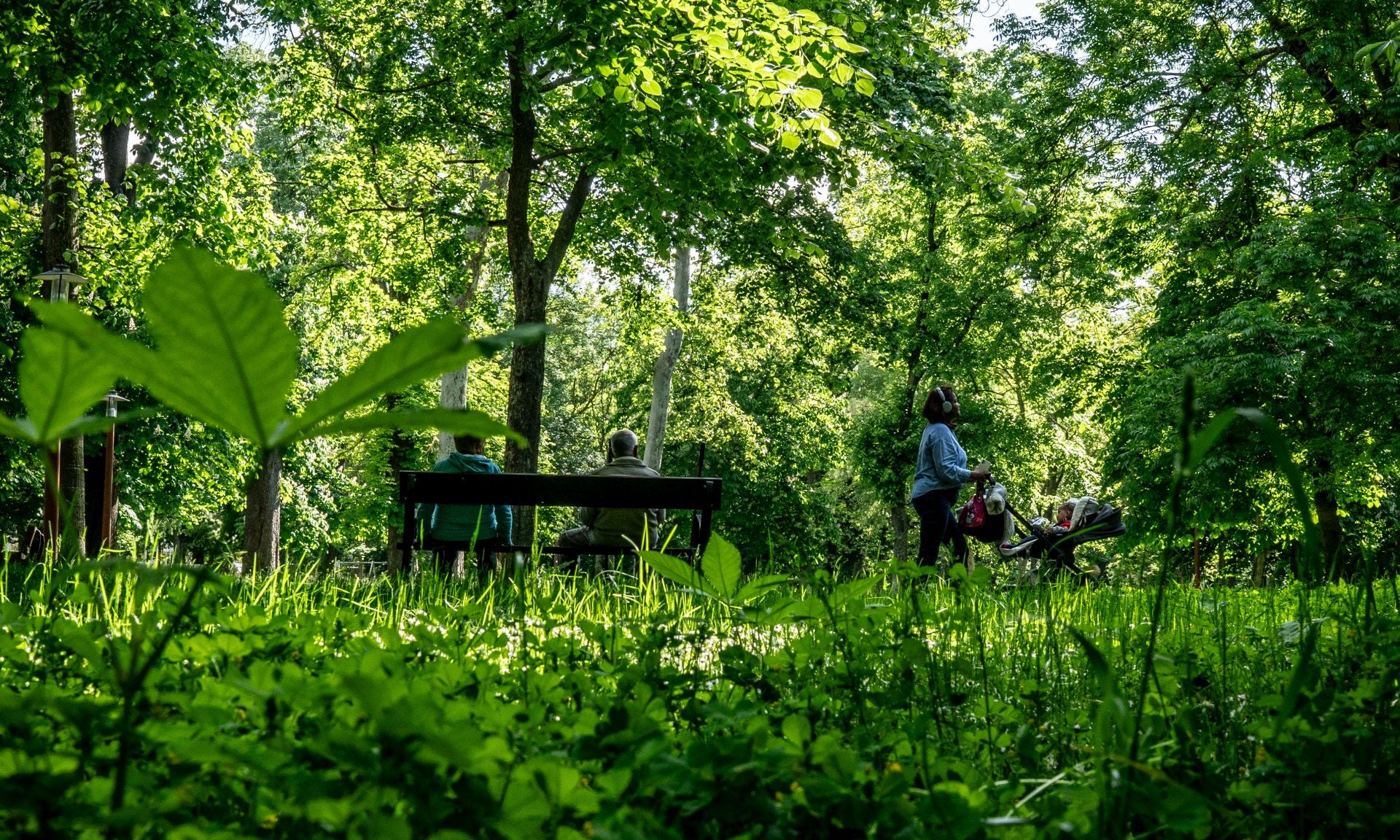 El aspecto asilvestrado de los jardines de Vitoria
