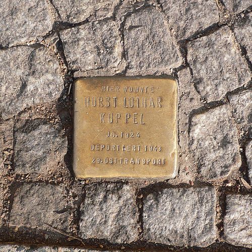 Imagen de las placas de la memoria.