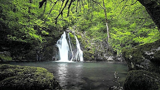 Buscando lamias en Osinberde
