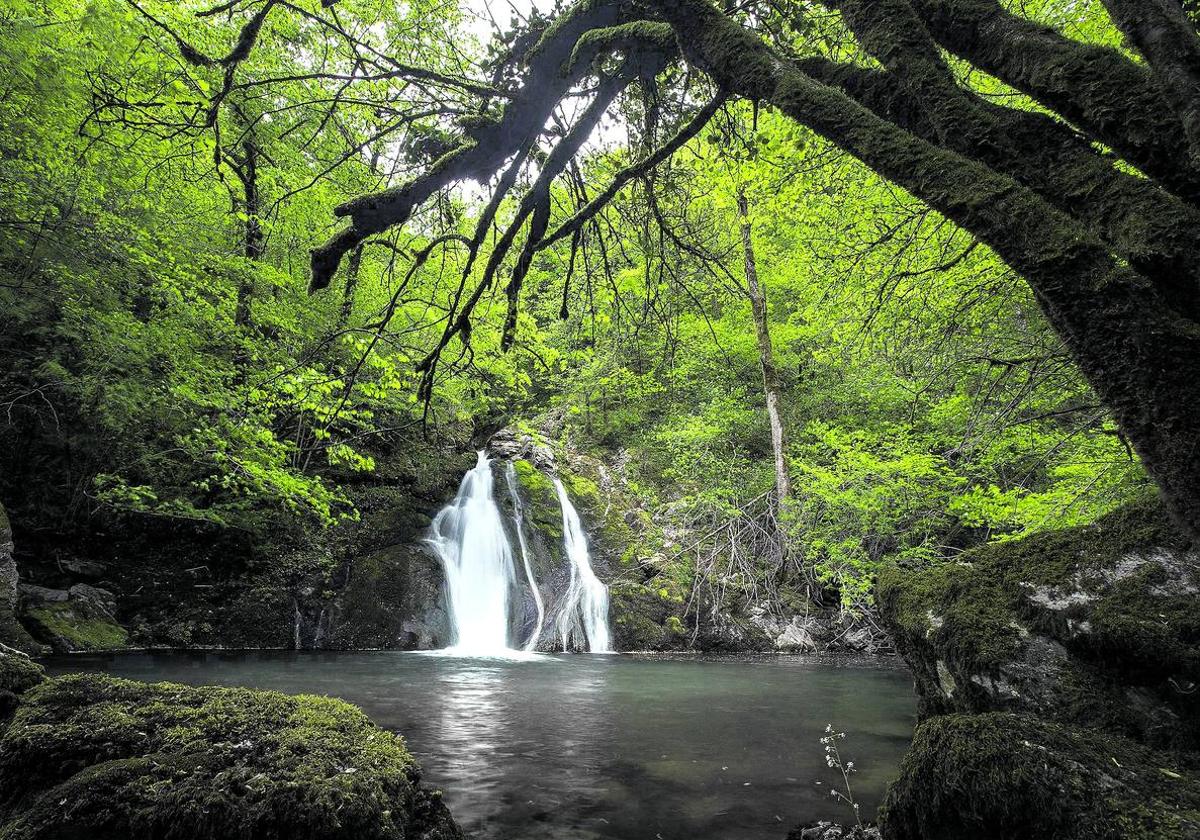 La cascada de Osinberde puede llegar a desaguar 600 litros por segundo en temporada de lluvia.