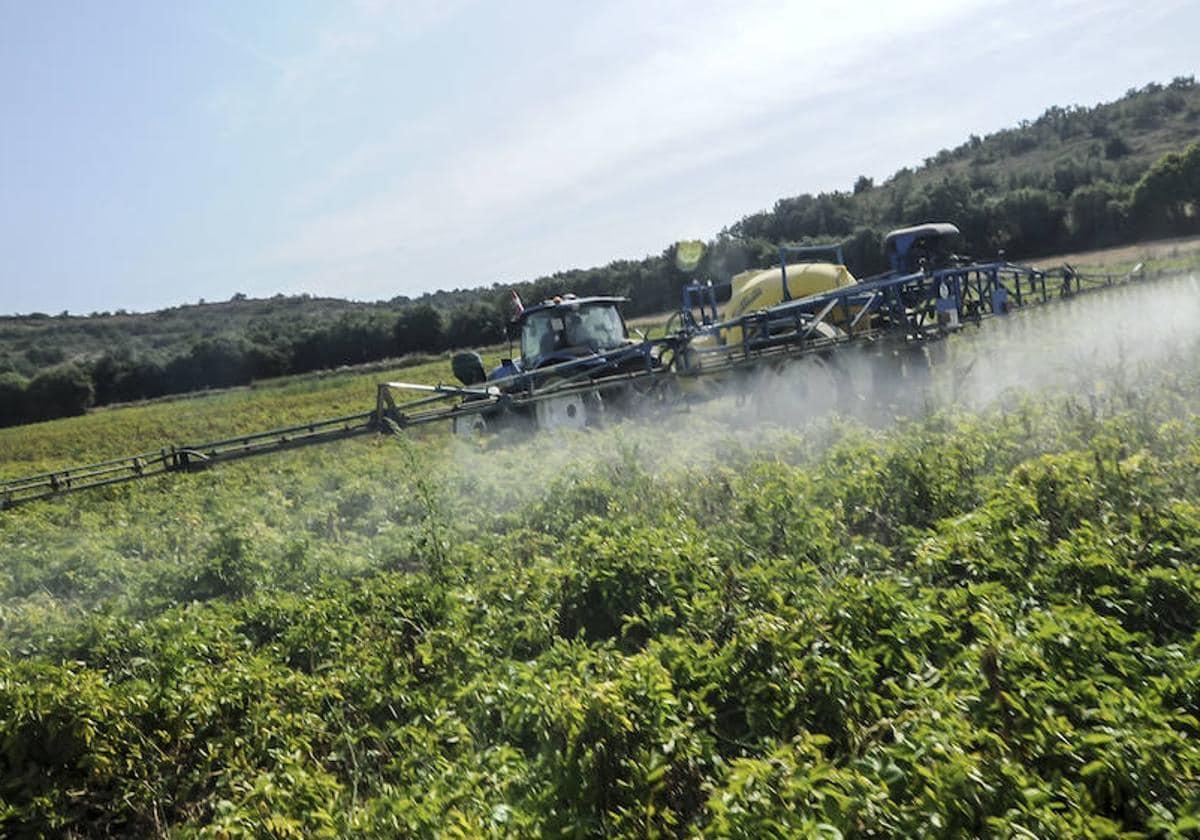 Álava reivindica el consumo de producto local ante los aranceles de Trump