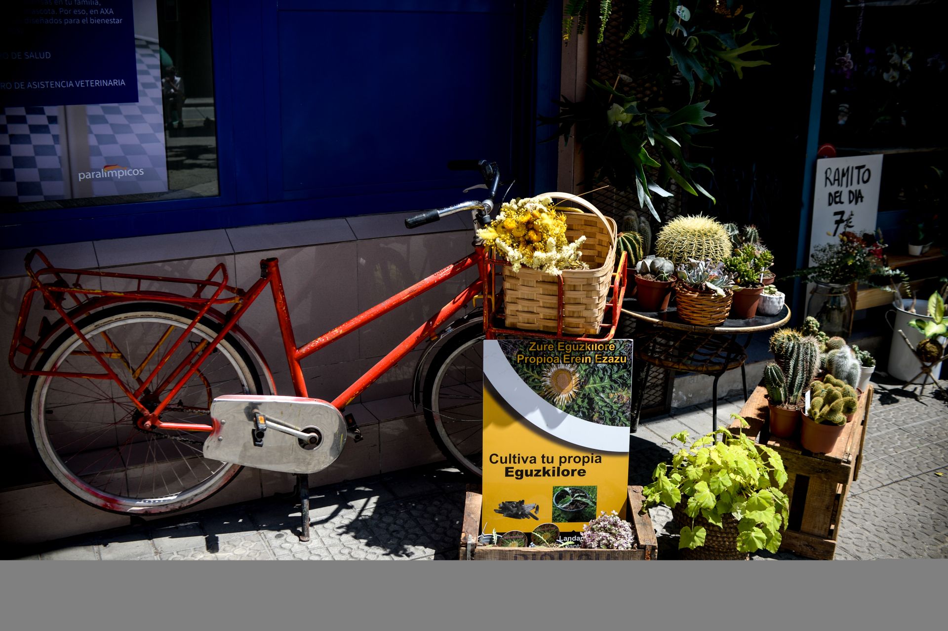 Edu cambia de vida y abre la única floristería de La Peña para que florezca el barrio