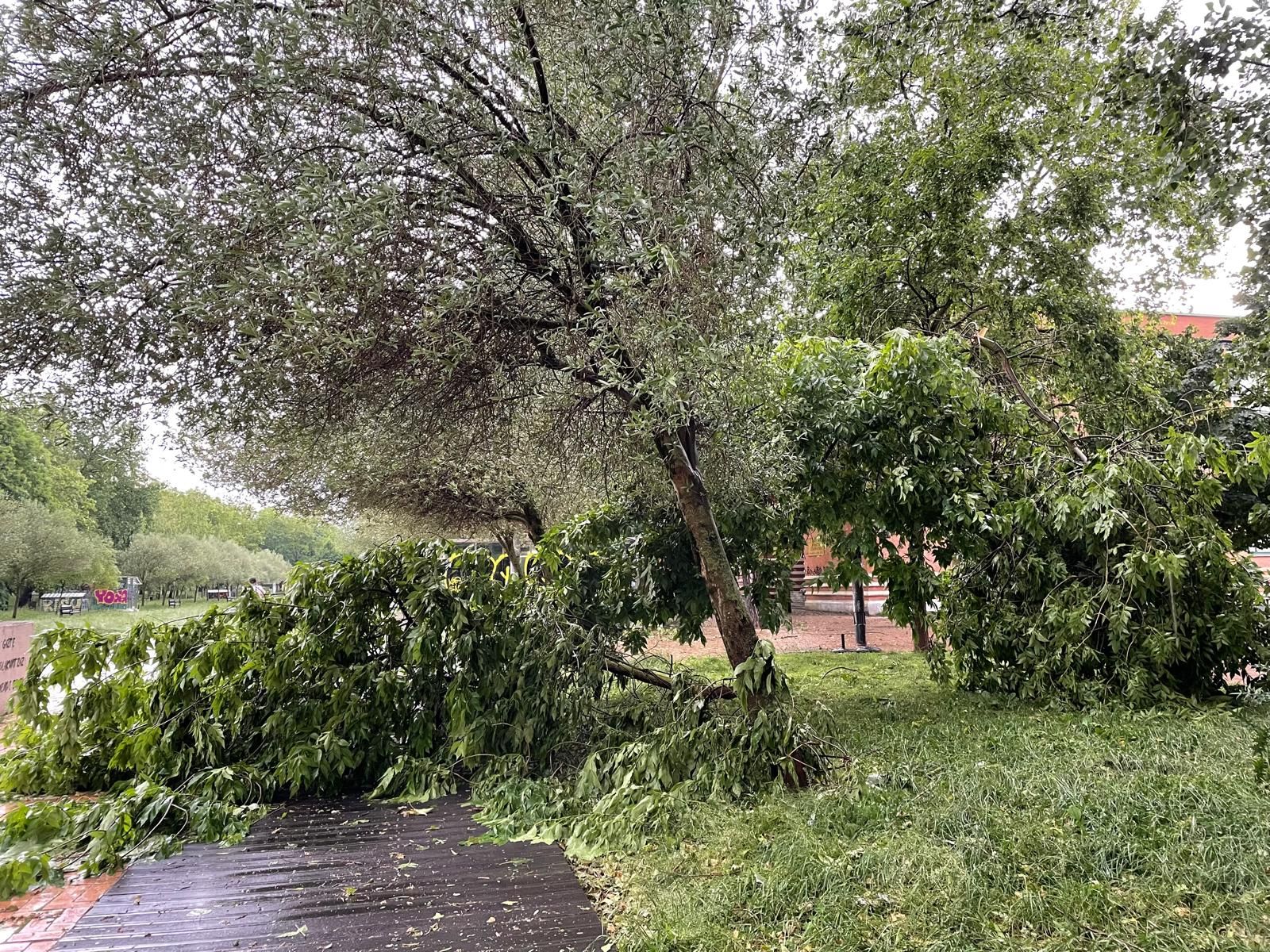 La tormenta de Vitoria en imágenes