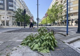 Por la mañana todavía se podían apreciar restos de ramas en vías como la Avenida Gasteiz