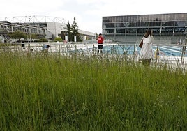 La hierba también se aprecia muy crecida en los jardines de las piscinas municipales de Vitoria.