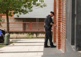 Dos ertzainas acceden a uno de los pisos de Vitoria donde se ha producido la operación.