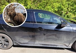 El alcalde ha denunciado rayones en su coche, así como la desaparición de sus gatos.