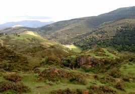 Montes de Triano.