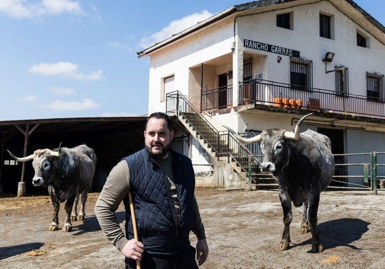 Txema Llamosas Orcasitas, ganadero y cocinero de Casa Garras, con dos ejemplares Tudancos en el Rancho Garras, donde se produjo el robo del buey asturiano de 1.500 kilos.