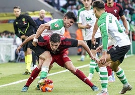 Panichelli, en plena lucha para proteger el balón en el centro del campo.