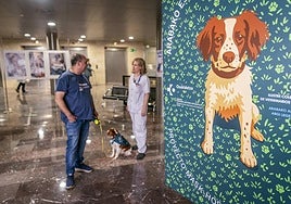 El punto de encuentro para las visitas en el hall estará señalizado con cartelería de la iniciativa.