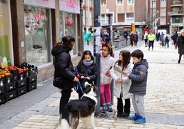 La ordenanza tratará de impulsar la protección animal y una buena convivencia con las personas.