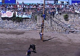 La cucaña vertical se celebra desde los años 70 en el Puerto Viejo.