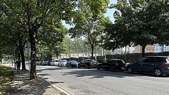 La tala de 17 árboles en Basauri enfrenta al gobierno local y ecologistas