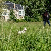 La hierba sigue creciendo en las zonas verdes de Vitoria.