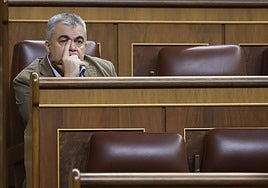 El diputado socialista Santos Cerdán.