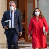 El Constitucional tumba las restricciones de la 'ley antipandemia' de Urkullu