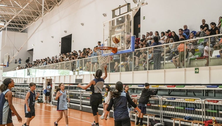 La competición y los equipos tienen carácter mixto.