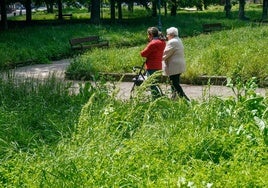 Aspecto de los jardines de Vitoria tras 83 días de huelga de jardineros.
