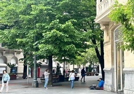 Oier, en la Gran Vía sin su perro