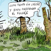 La viñeta de Cerrajería sobre el saneamiento del suelo de los parques de Vitoria