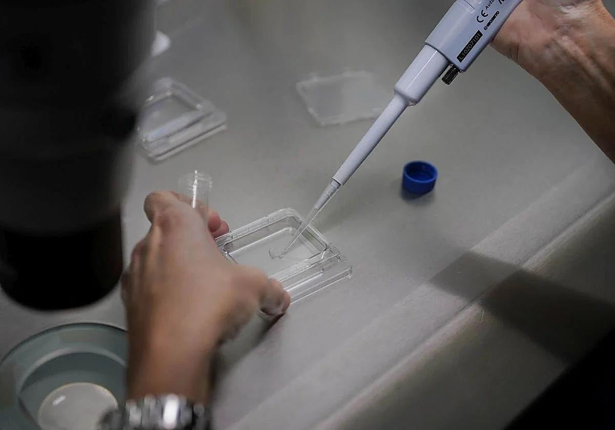 Varapalo también en el examen de técnicos de laboratorio de Cantabria, con un 80% de suspensos