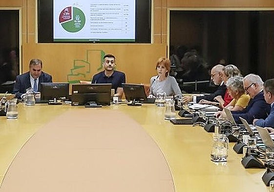 Comparecencia de la Ararteko en funciones, Inés Ibáñez de Maeztu, en la Comisión de Justicia y Derechos Humanos del Parlamento vasco.