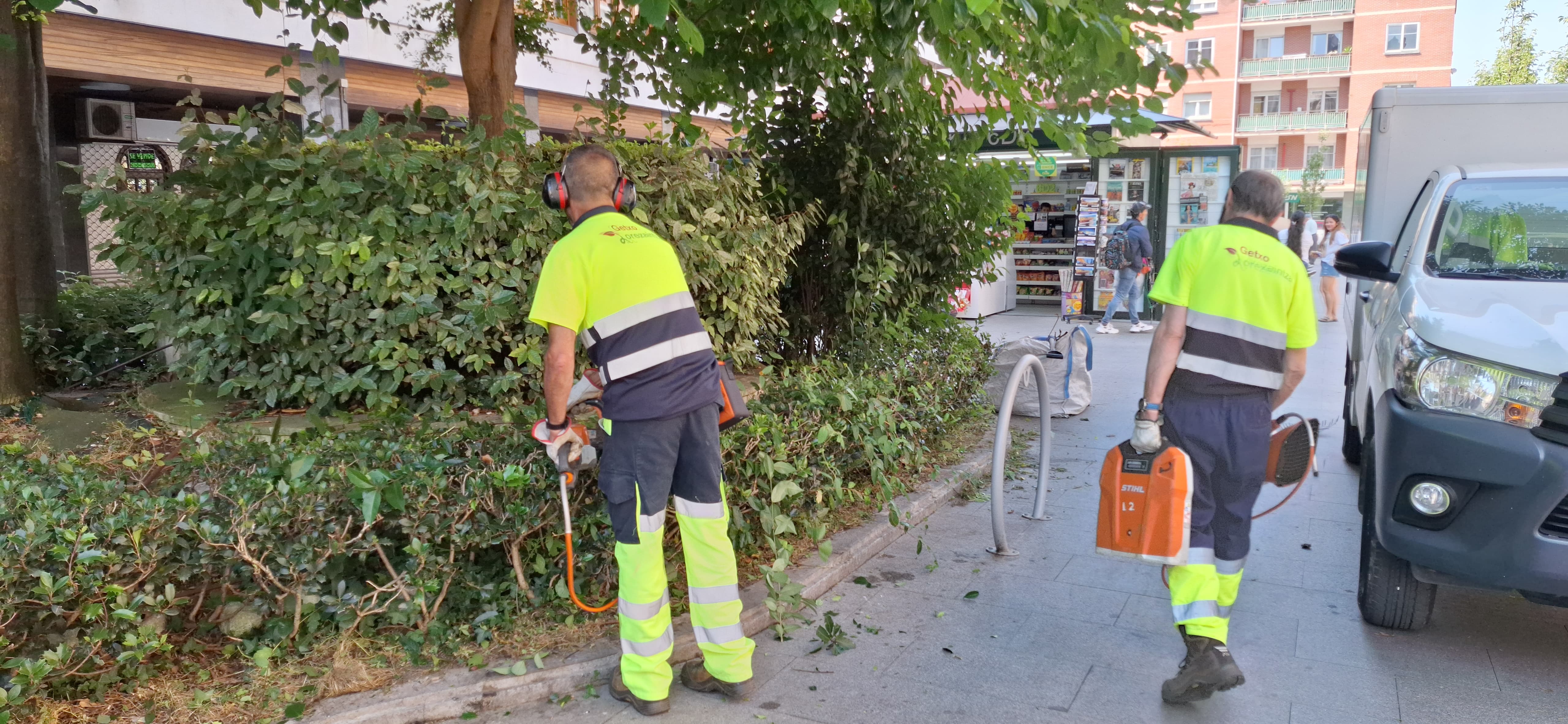 Dos jardineros municipales de Getxo cuidan una zona verde del centro de Las Arenas.