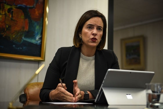 Berrojalbiz anuncia más cambios en los impuestos porque «la gestión fiscal no acaba con la reforma»