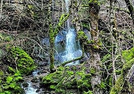 El agua es la gran protagonista de esta ruta.