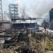 Los bomberos tuvieron que lidiar con gigantes columnas de humo en una planta que quedó arrasada.