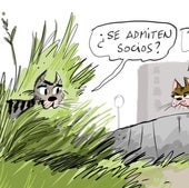 La viñeta de Cerrajería sobre las colonias felinas de Vitoria