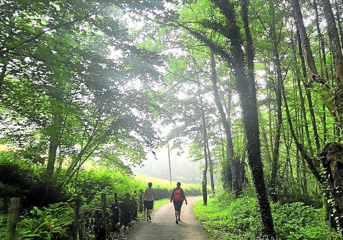 Los alrededores de San Joan Xar, un lugar precioso con una energía especial.