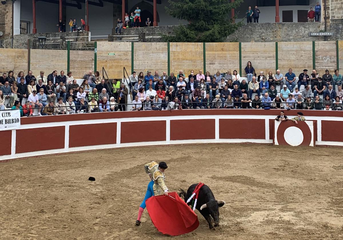 Imagen de una novillada en Trucios.