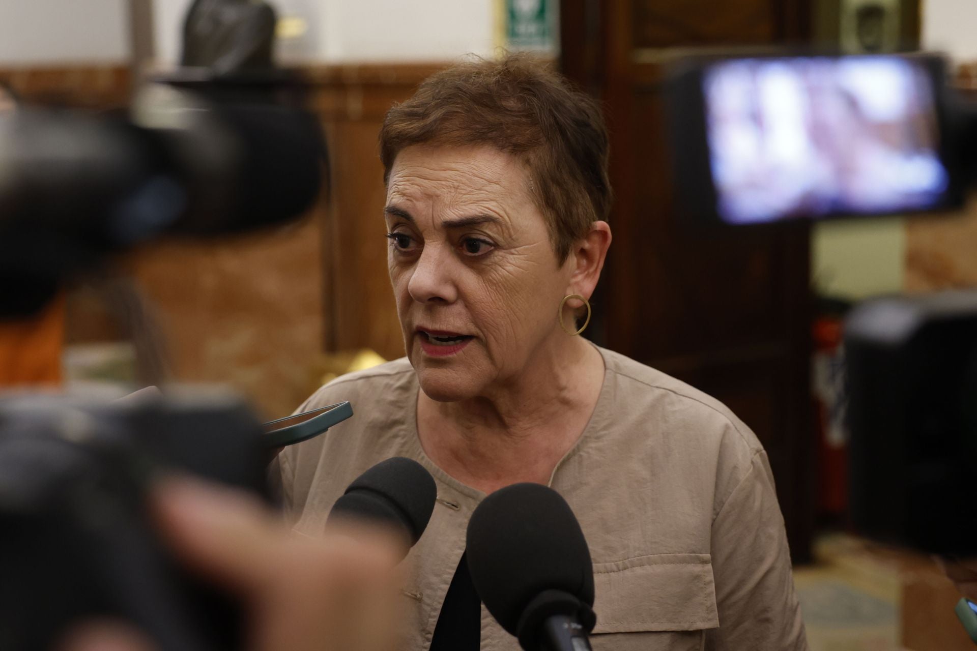 La diputada de EH Bildu Mertxe Aizpurua.